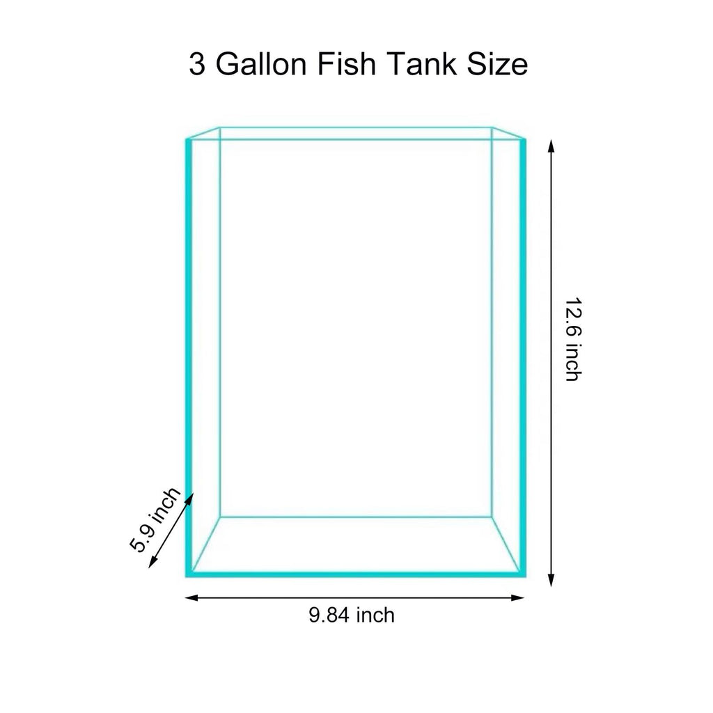 3 Gallon Glass Fish Tank Y461759