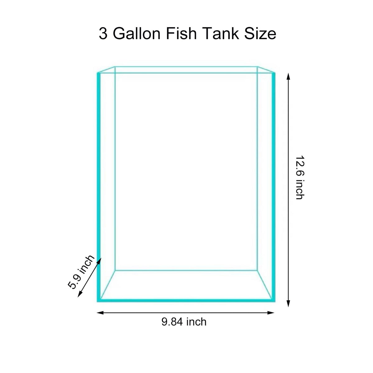 3 Gallon Glass Fish Tank Y461759