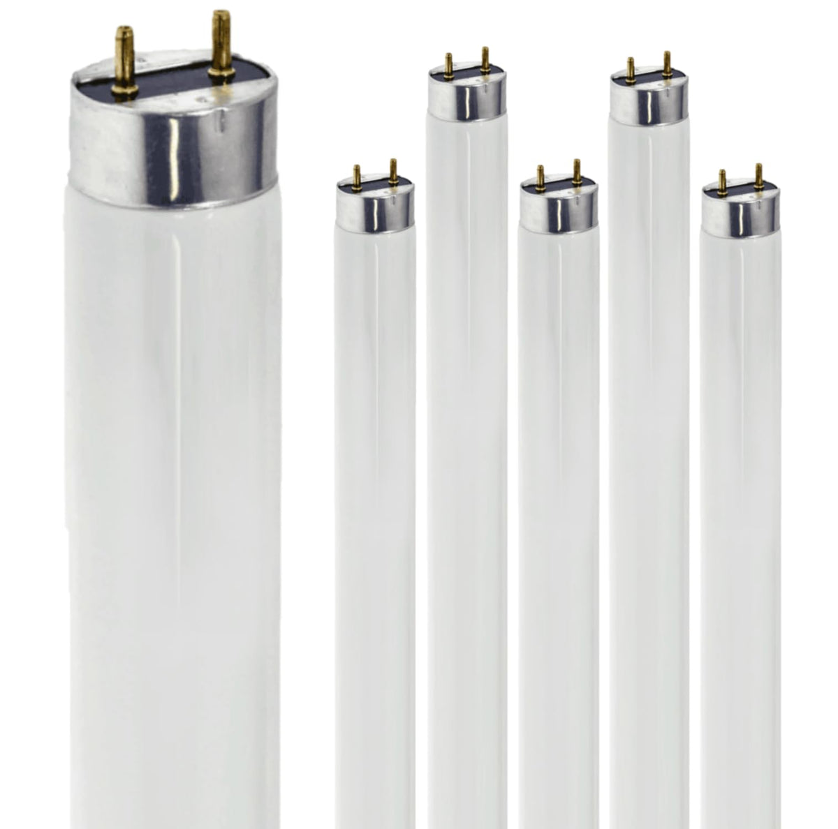 24 Inch T8 Fluorescent Tube Light Bulb 17W 5000K 1230 Lumen G13 Bi-Pin Base Pack of 6 E99705