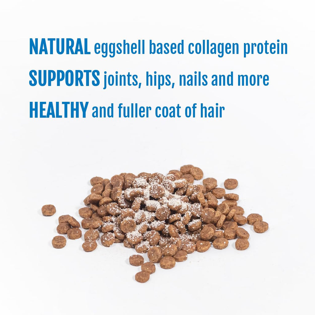 Eggshell Membrane Collagen Powder for Dogs F442632