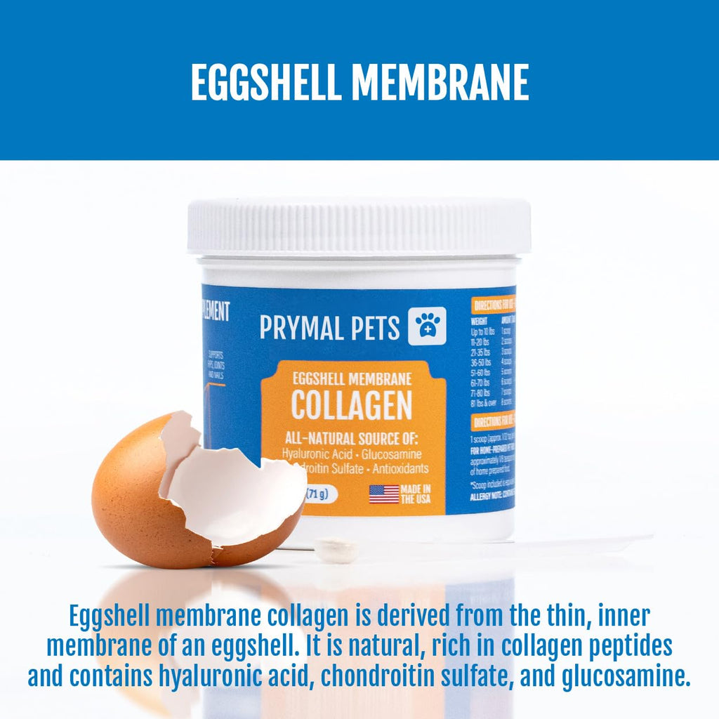 Eggshell Membrane Collagen Powder for Dogs F442632