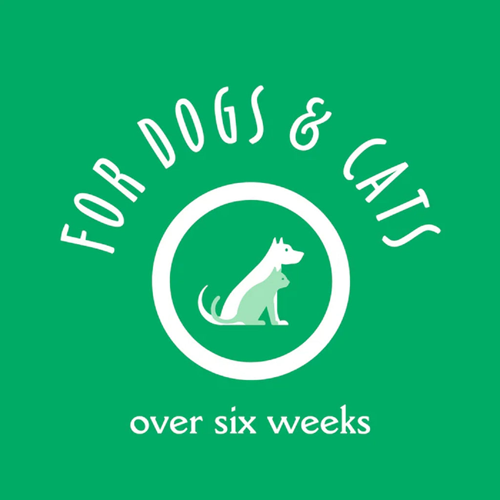 Oatmeal & Aloe Dog Shampoo, 16 Oz N3812