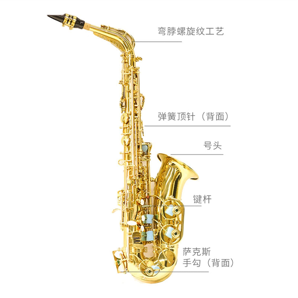 E Flat Alto Saxophone B888