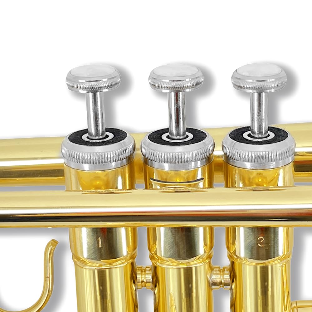 Standard Trumpet Set with Carrying Hard Case, 7C Mouthpiece, Cleaning Cloth and Gloves R96467