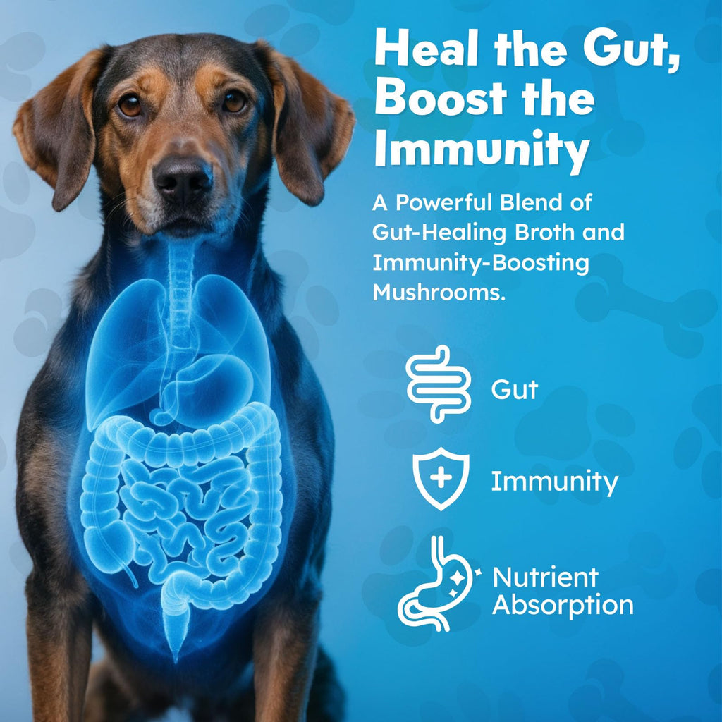 Beef Bone Broth Powder for Dogs F77374