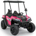 24V 2 Seater Ride on Car with Sun Shade Dump Bed Shovel Hot Pink X2957