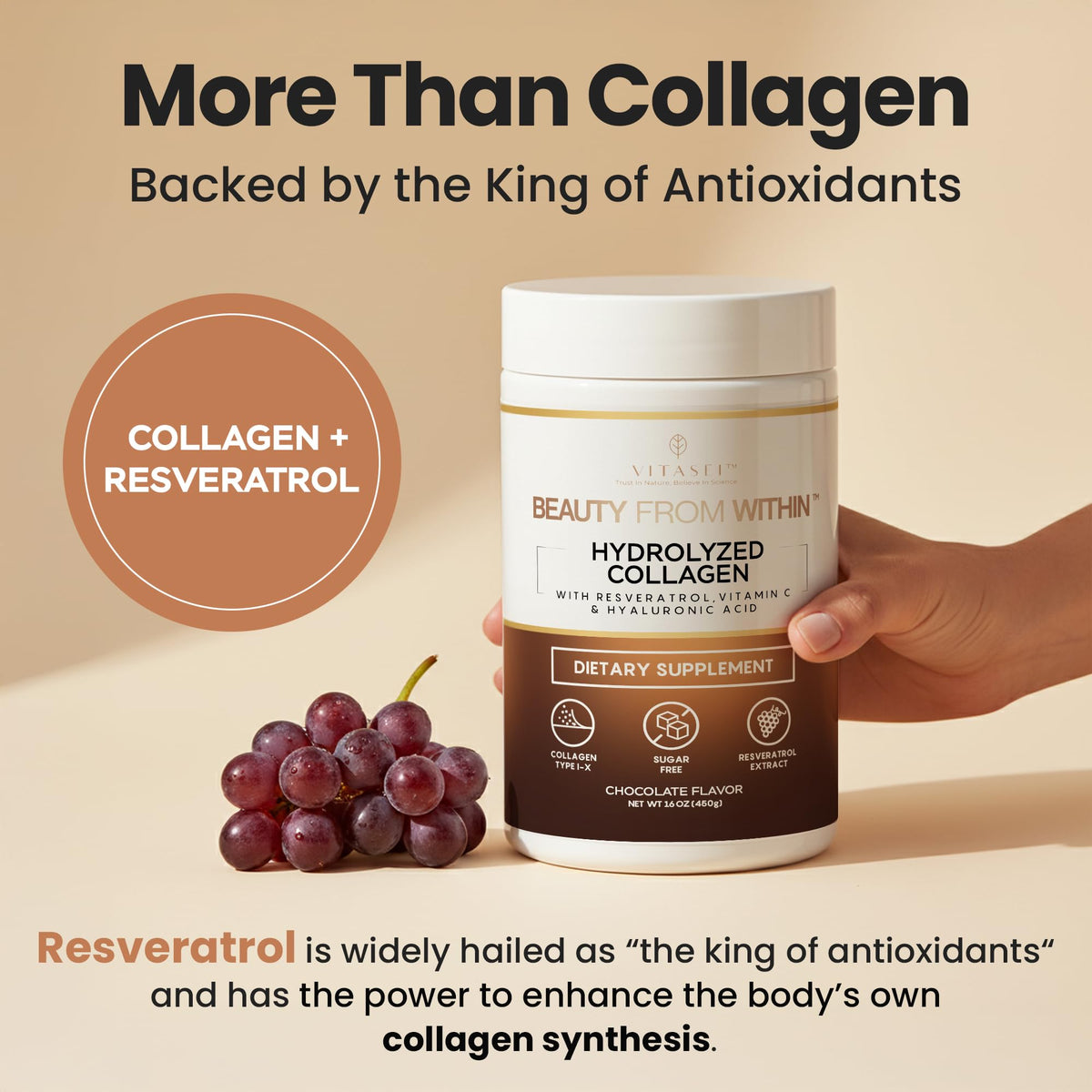 Hydrolyzed Collagen Peptide Powder Drink Chocolate Flavored 16oz R89204