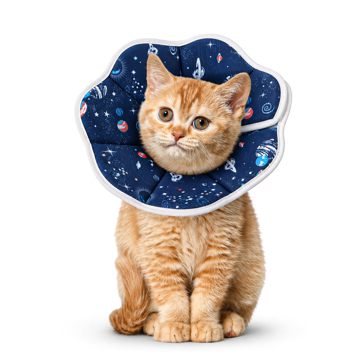 Soft Cat Recovery Cone Collar for Small Medium Cats L9937