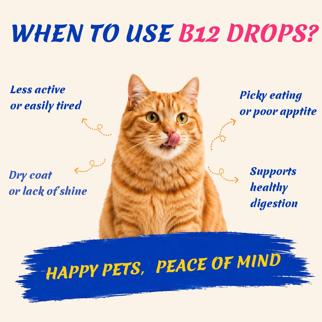 Vitamin B12 Supplement Y8488