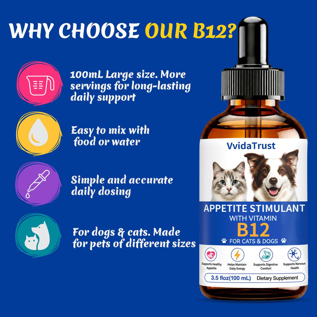 Vitamin B12 Supplement Y8488