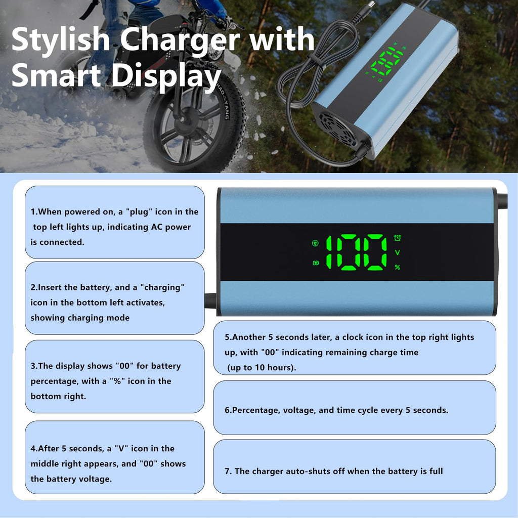 54.6V 2A Electric Scooter Charger with 6-in-1 Universal Plug V495
