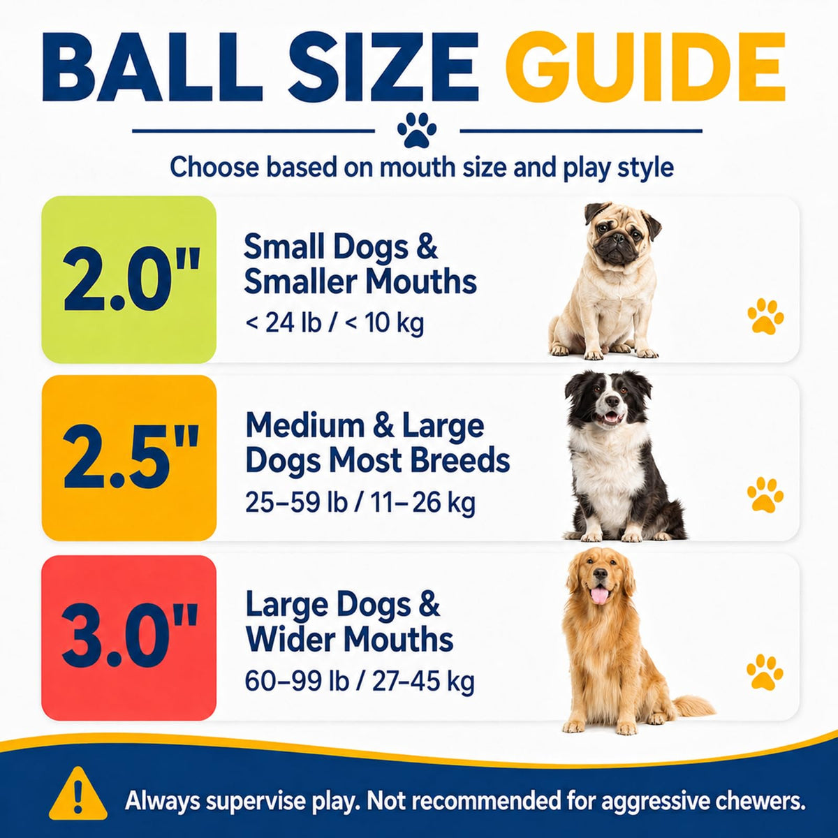 12 Pack Colorful Dog Toy Balls Y2475