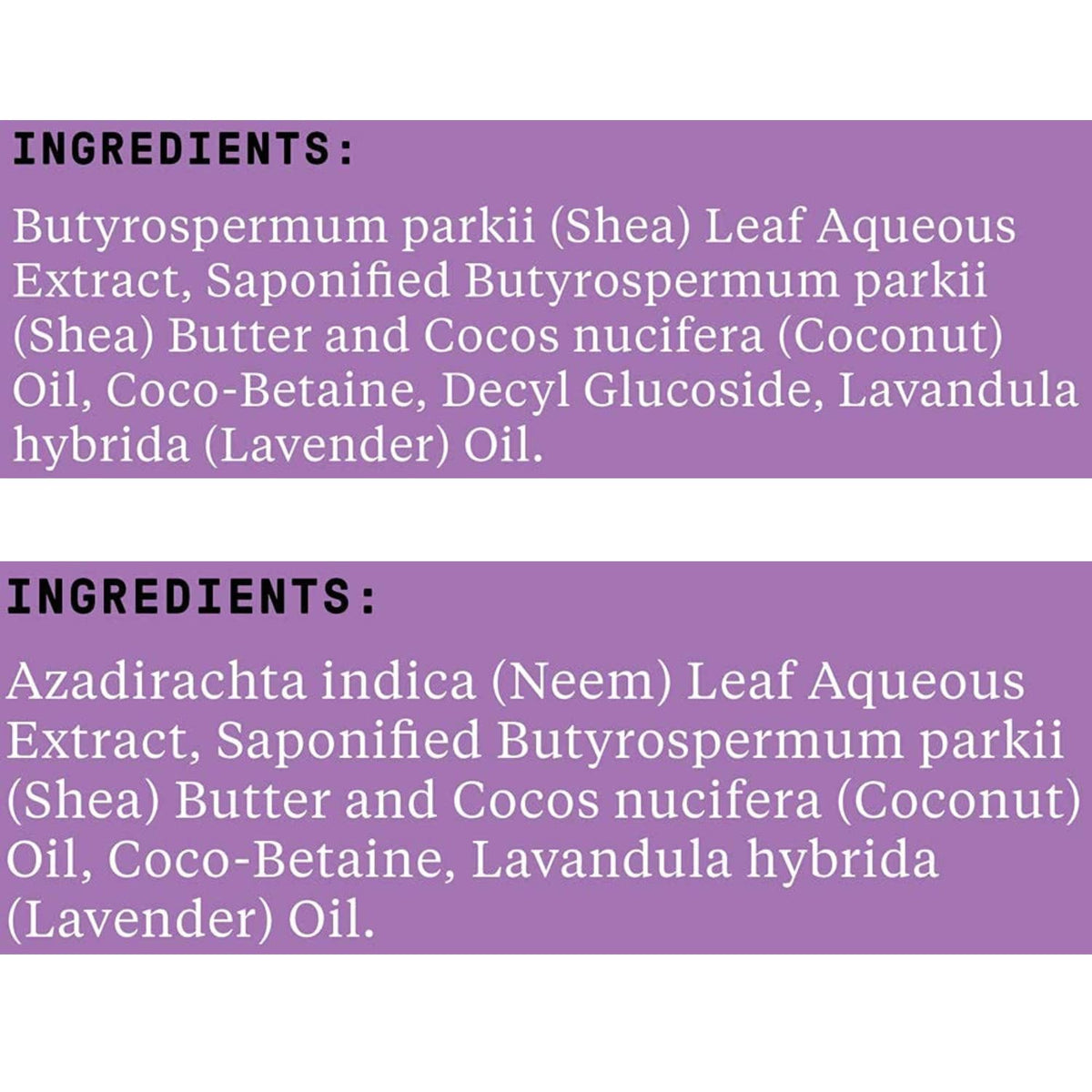 Lavender Shea Shampoo & Conditioner Set R737