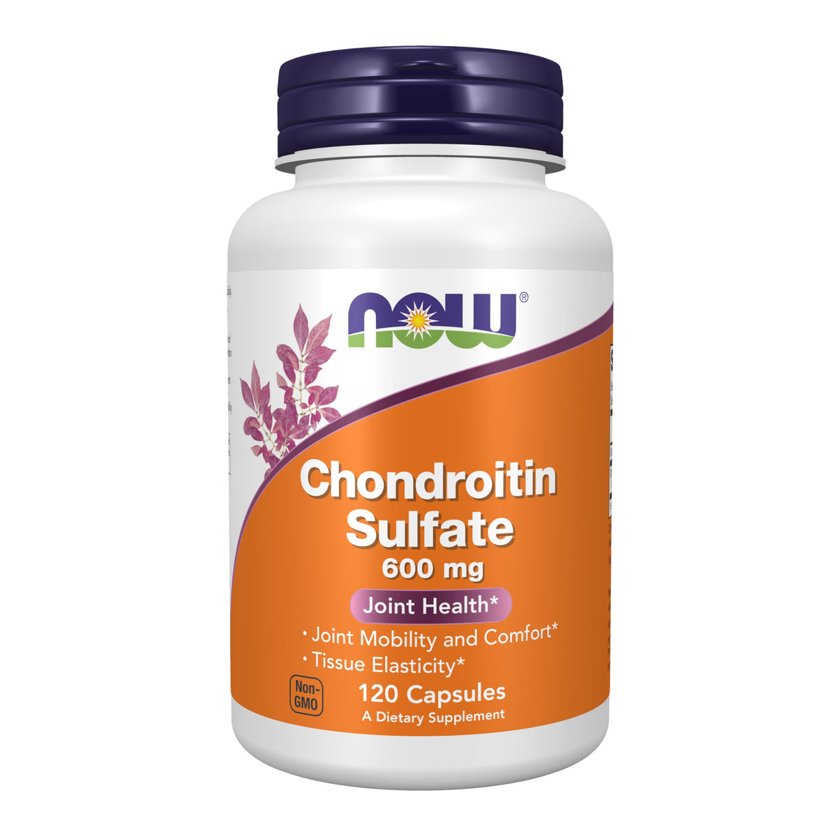 Chondroitin Sulfate 600 mg 120 Caps K9924