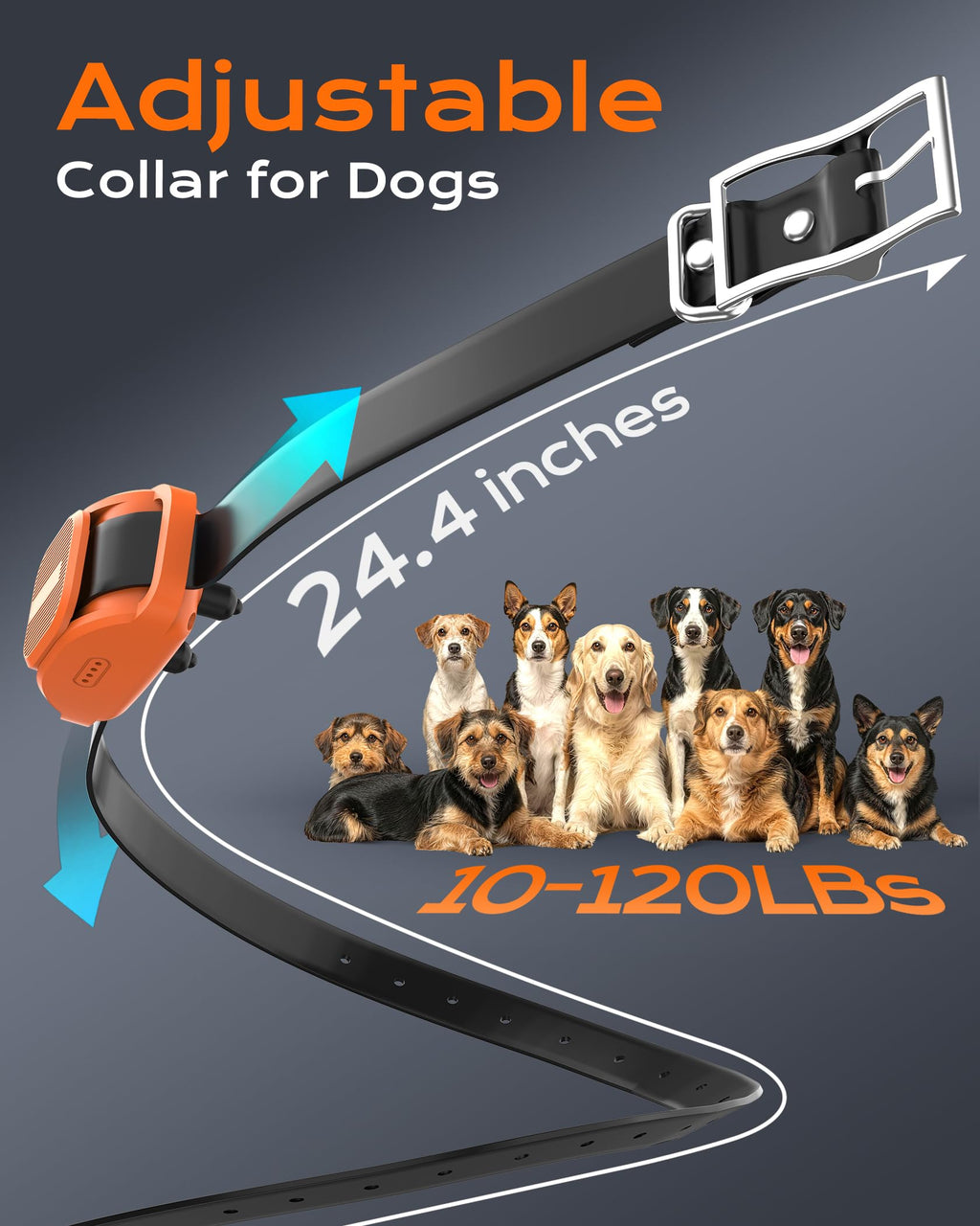 Dog Training Collar with Remote O408