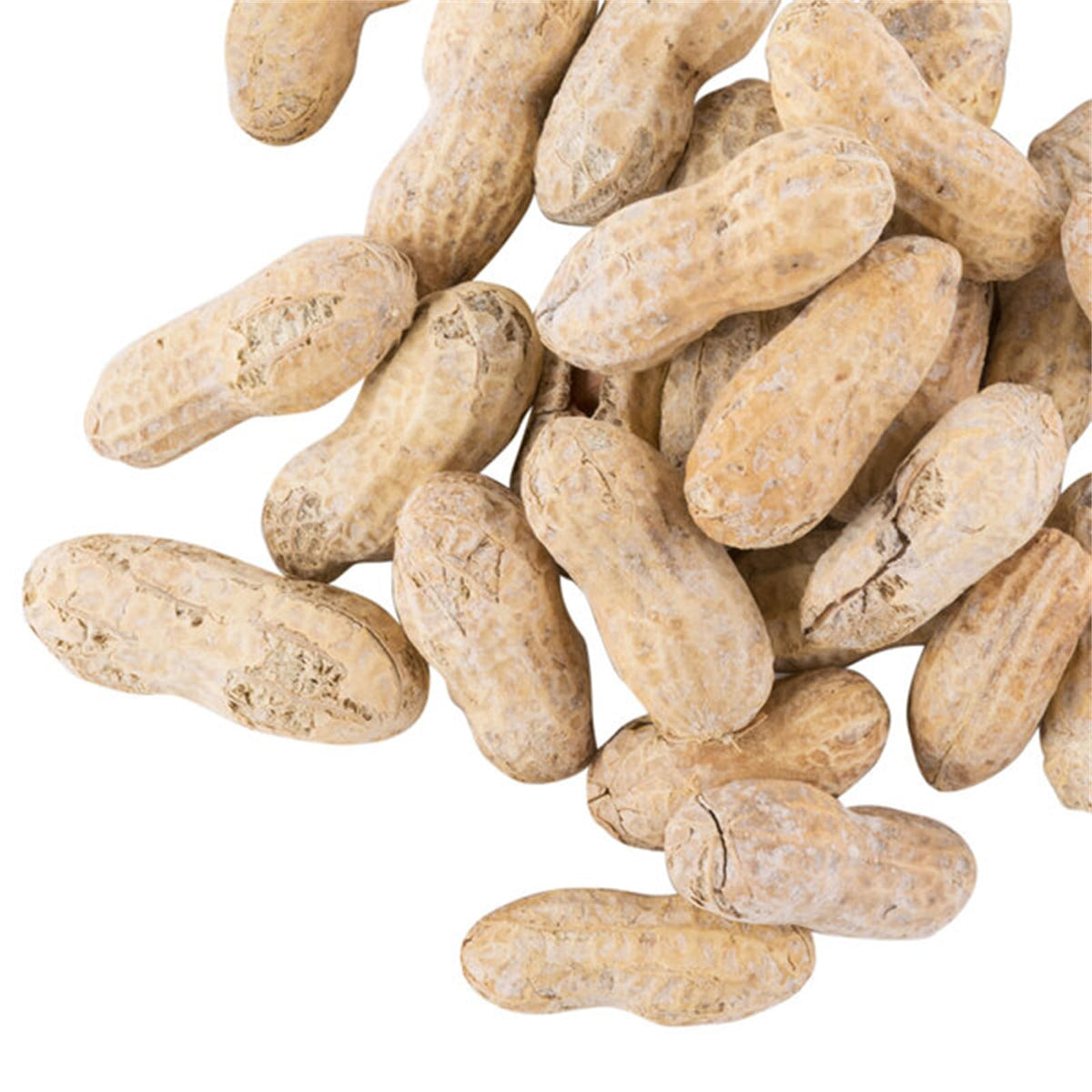 Roasted Salted in-Shell Peanuts 25 lb M980