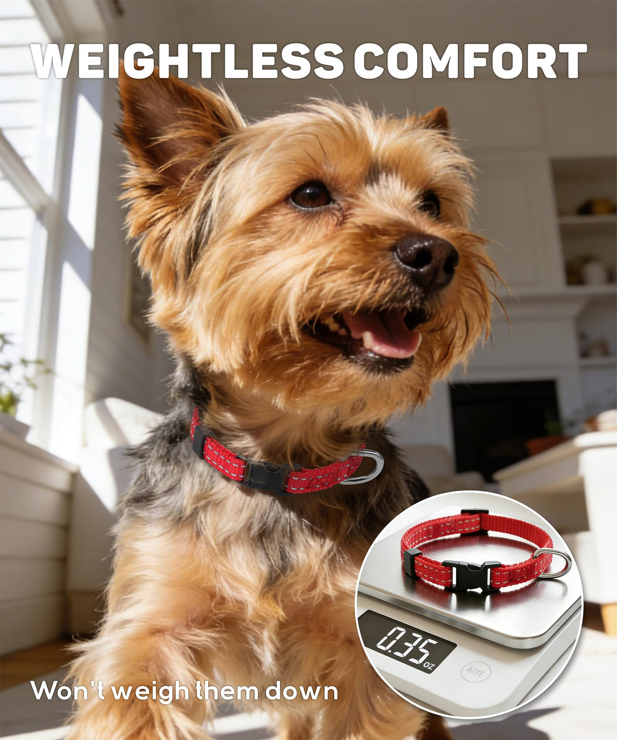 Reflective Small Dog Collar X529145