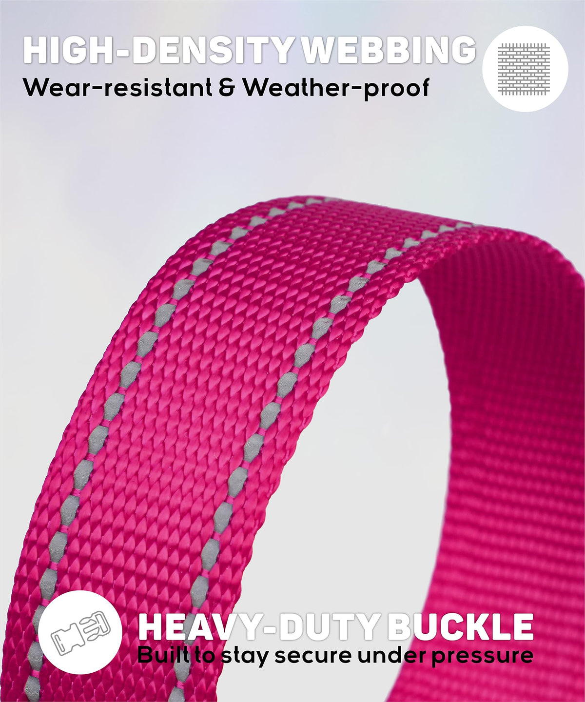 Reflective Small Dog Collar X529145