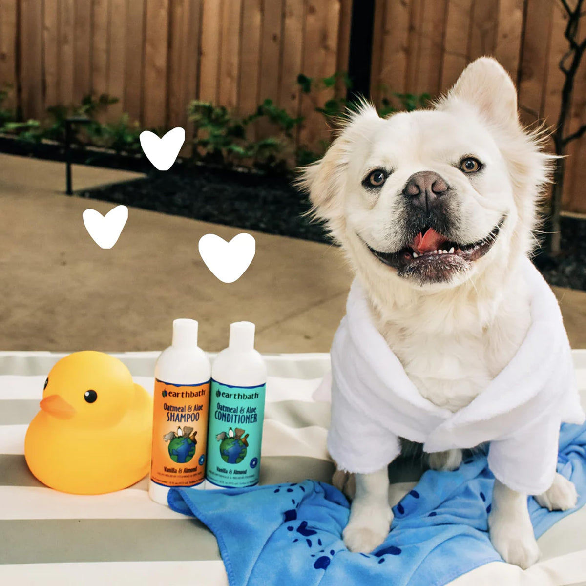 Oatmeal & Aloe Dog Shampoo, 16 Oz N3812