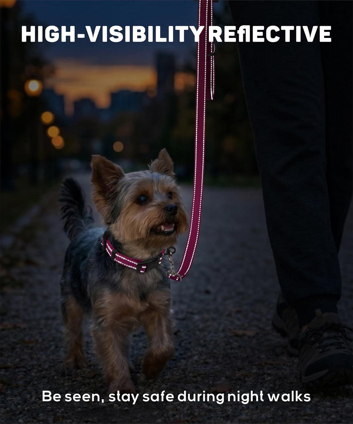 Reflective Small Dog Collar X529145