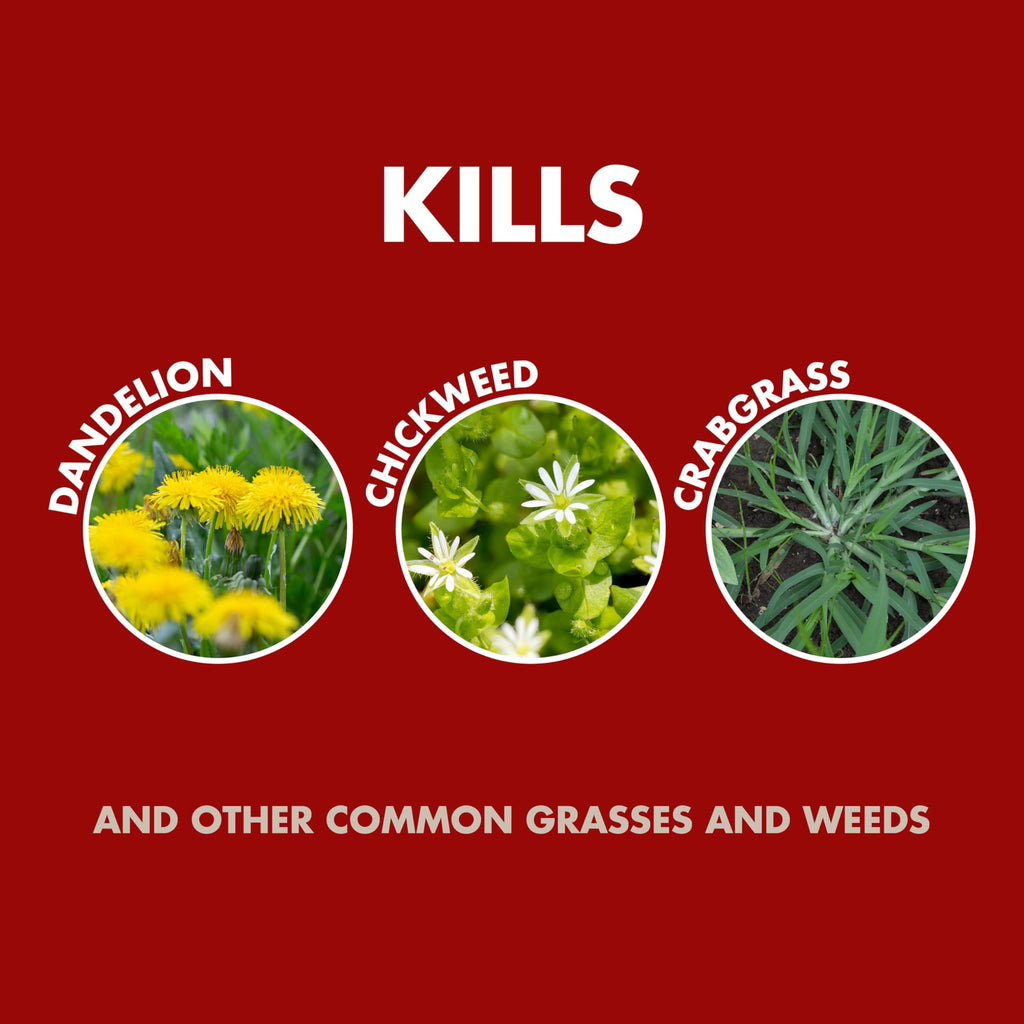 Weed & Grass Killer 1.33 Gal S8964