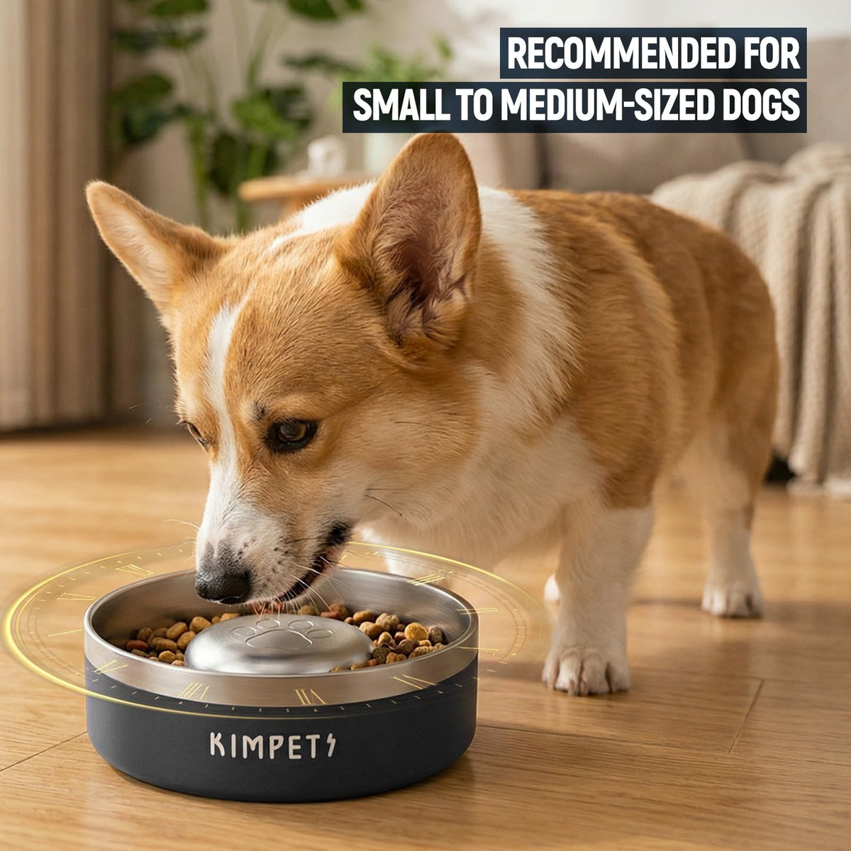 Black 2 Cups Stainless Steel Non-Slip Dog Slow Feeder Bowl Z5618