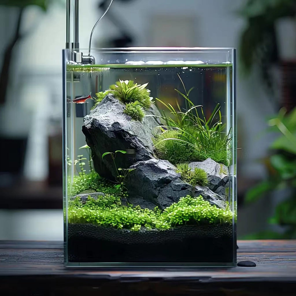 3 Gallon Glass Fish Tank Y461759