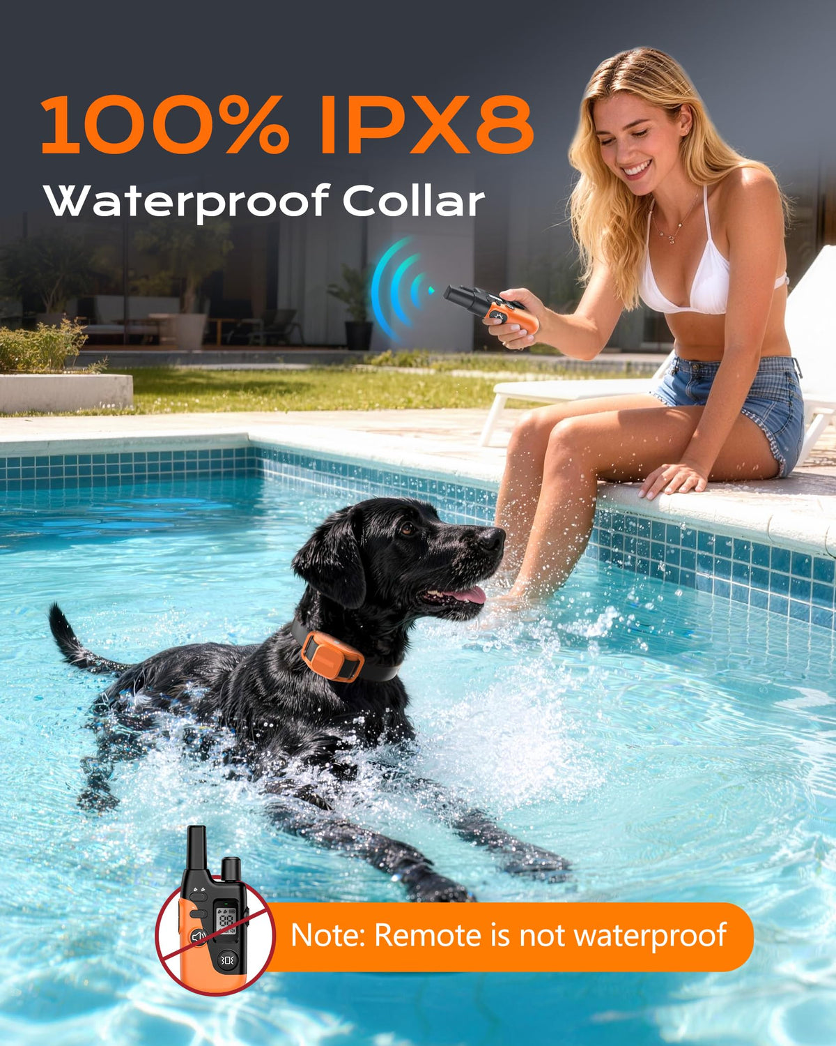 Dog Training Collar with Remote O408