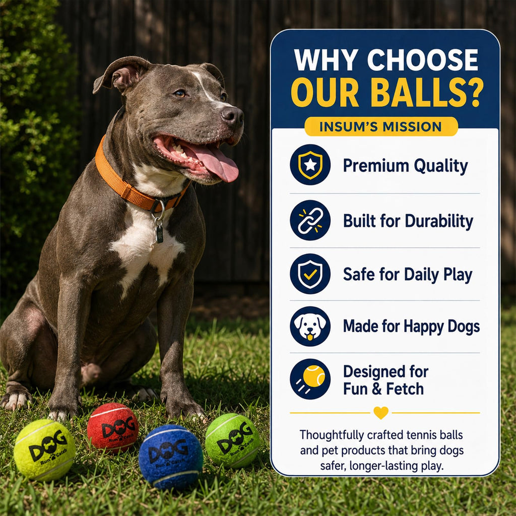 12 Pack Colorful Dog Toy Balls Y2475