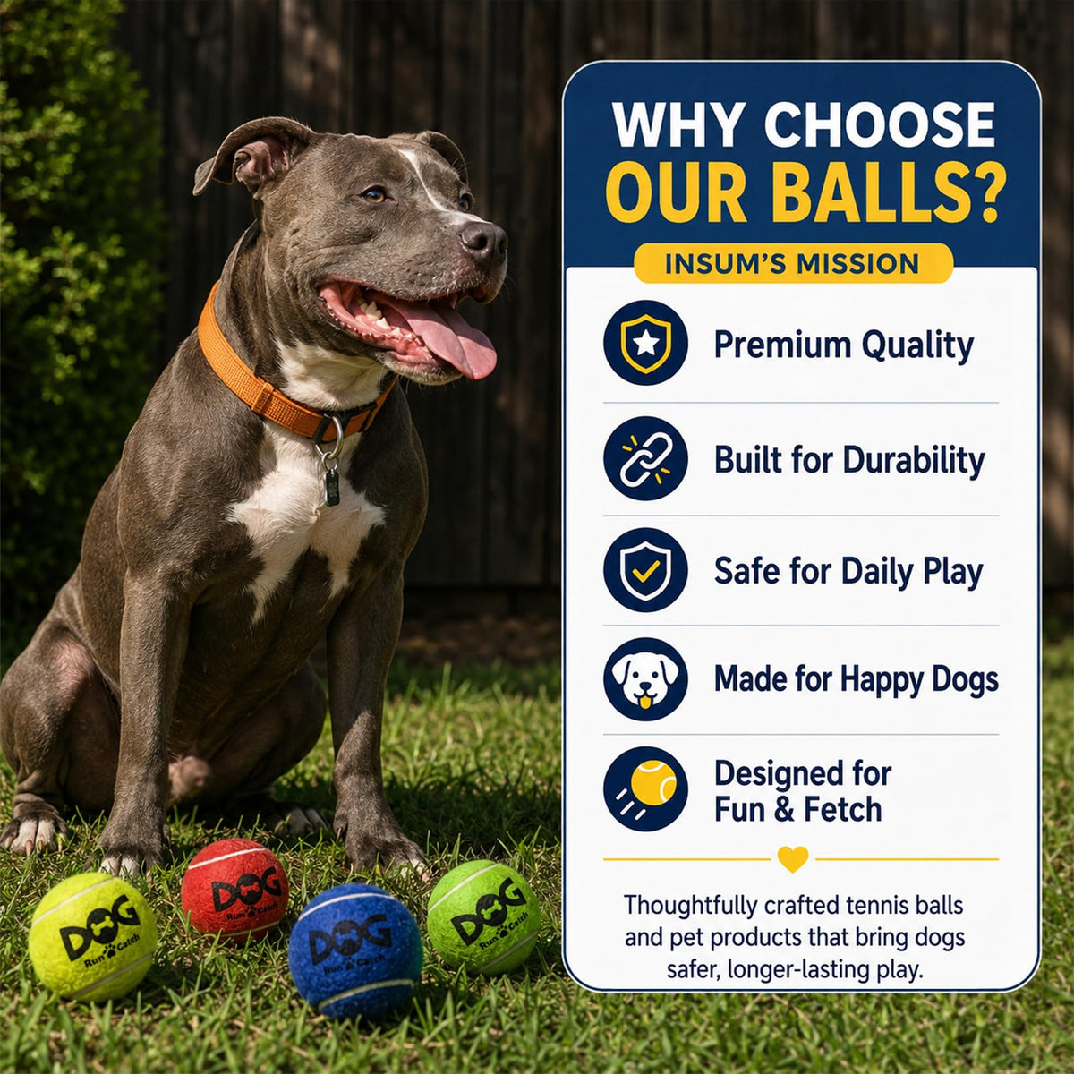 12 Pack Colorful Dog Toy Balls Y2475