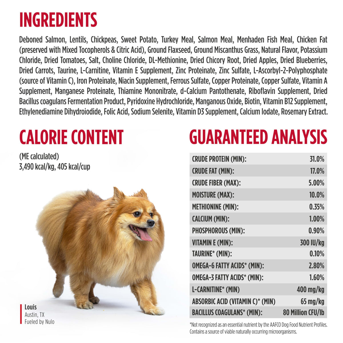 Salmon & Lentils Grain Free Dry Dog Food 6lb Bag D19631