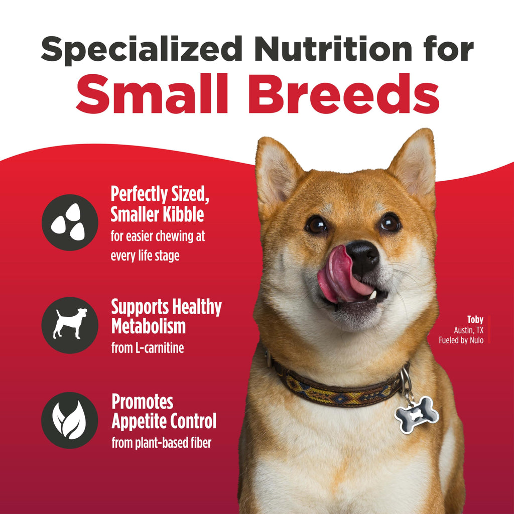 Salmon & Lentils Grain Free Dry Dog Food 6lb Bag D19631