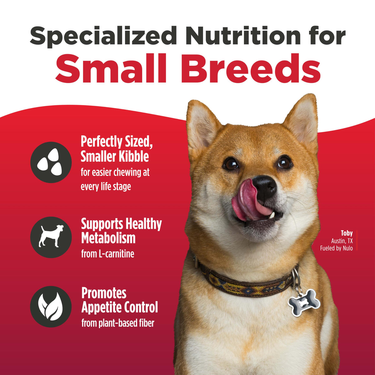 Salmon & Lentils Grain Free Dry Dog Food 6lb Bag D19631