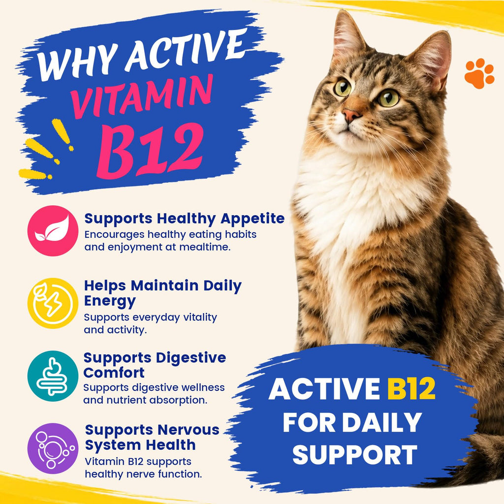 Vitamin B12 Supplement Y8488