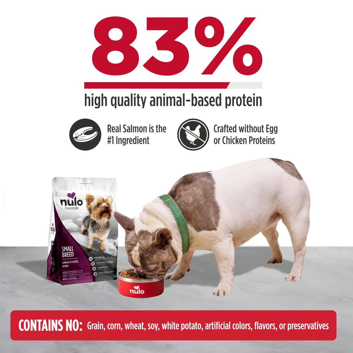 Salmon & Lentils Grain Free Dry Dog Food 6lb Bag D19631