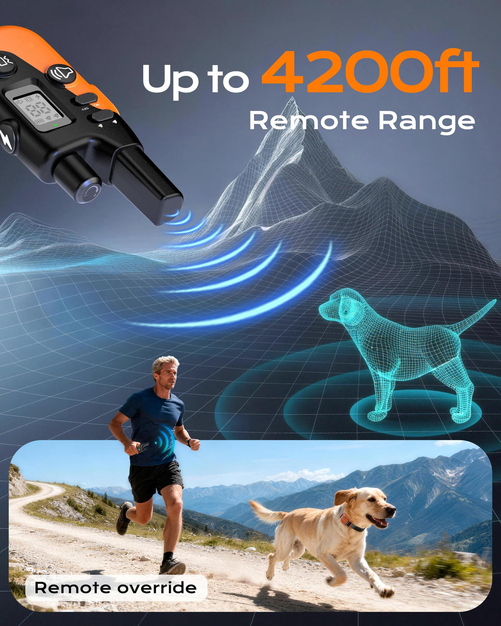 Dog Training Collar with Remote O408