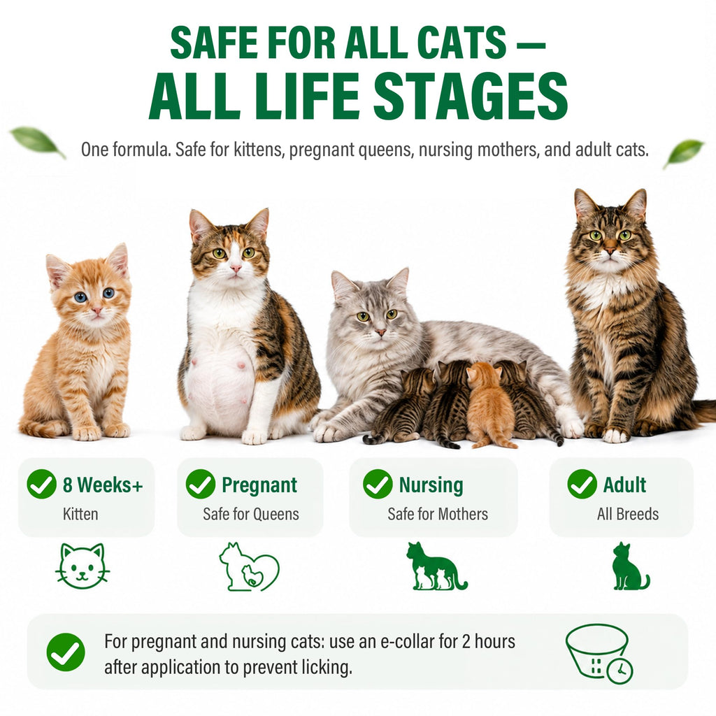 Cat Flea & Tick Topical Drops 12 Doses S673
