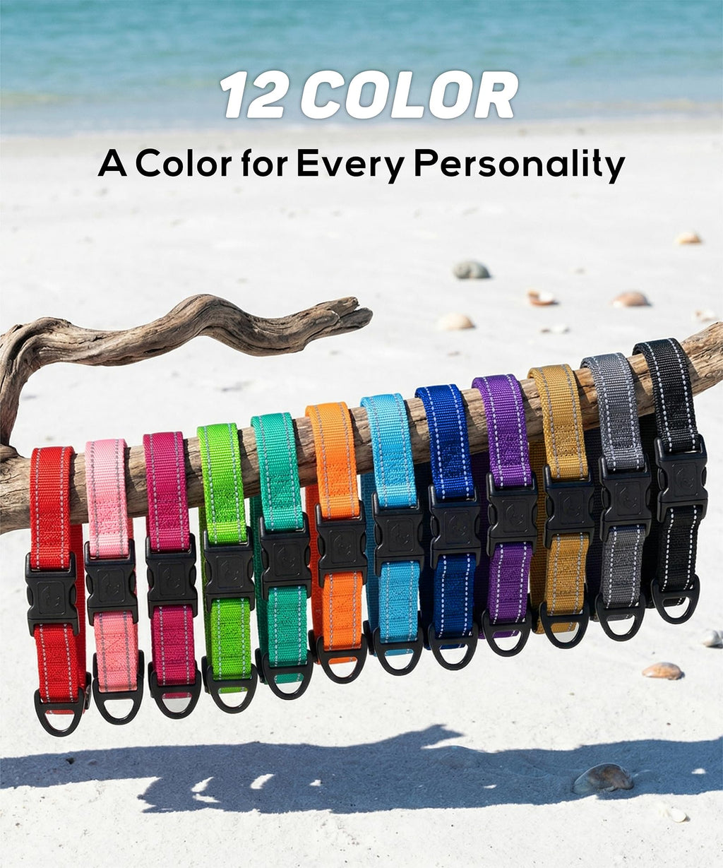 Reflective Small Dog Collar X529145