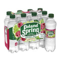 Sparkling Spring Water Raspberry Lime 16.9 Ounce Pack of 8 W143